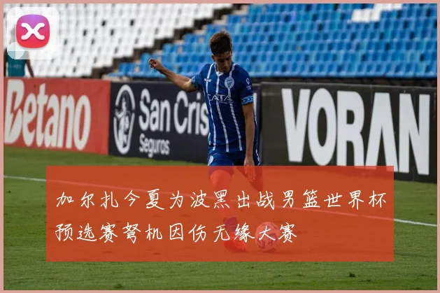 加尔扎今夏为波黑出战男篮世界杯预选赛弩机因伤无缘大赛