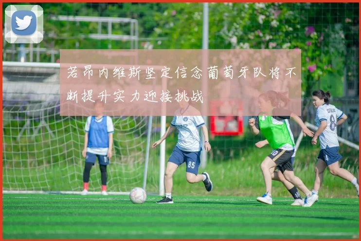 若昂内维斯坚定信念葡萄牙队将不断提升实力迎接挑战